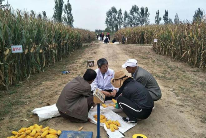  李少昆为基层农技人员和种植户总结丰产经验 图源：中国农业科学院