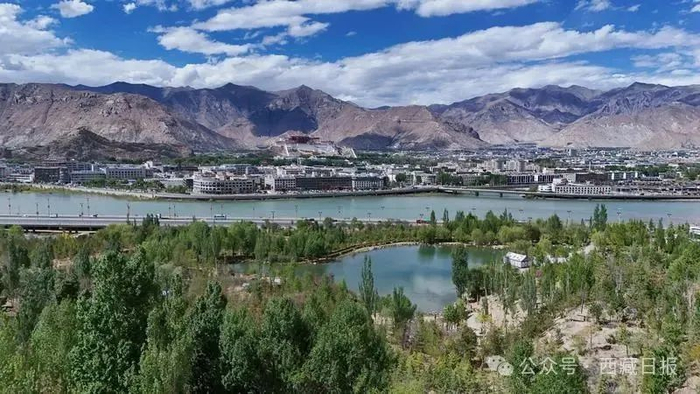 图为南北山绿化工程一角。记者 潘多 摄