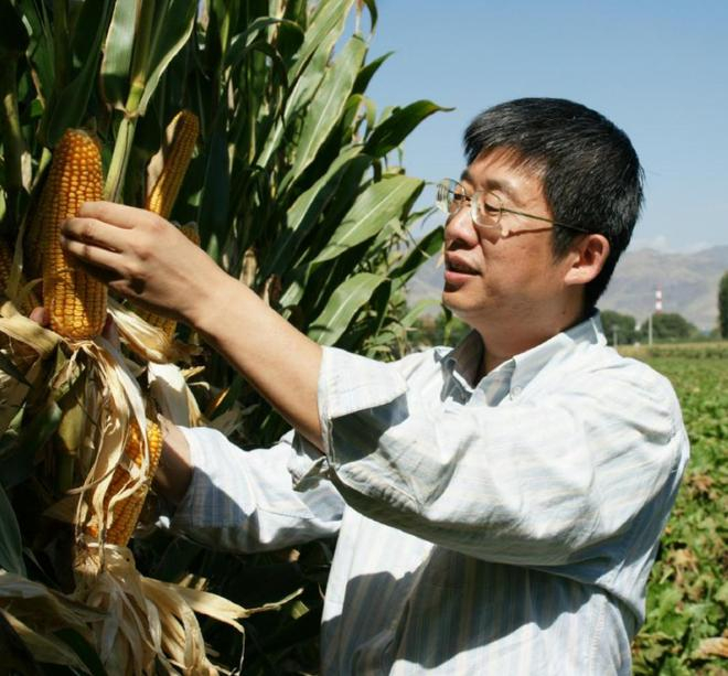  中国农业科学院作物科学研究所研究员全国玉米单产提升工程专家组组长李少昆 图源：中国农业科学院