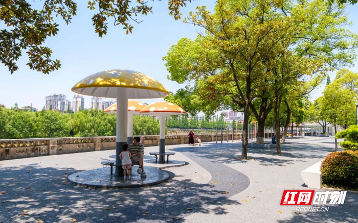 变化的滨河路景观。