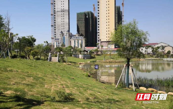 建设前后的泉塘游园。