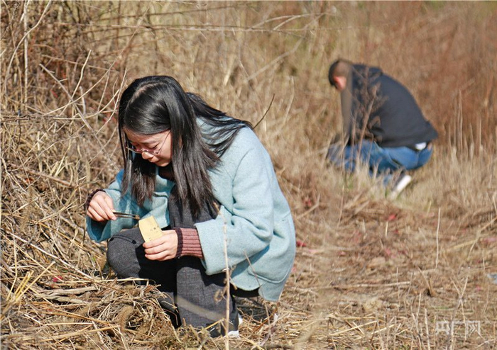 劉志宏和同事在田間地頭收集血吸蟲病宿主釘螺（央廣網(wǎng)發(fā) 受訪者供圖）