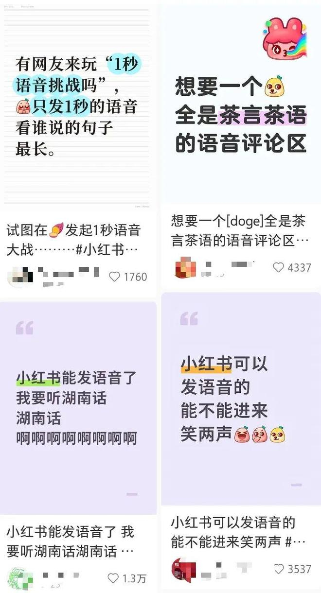 奇怪的语音需求数不胜数。图源小红书