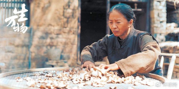 封母（迟蓬饰）