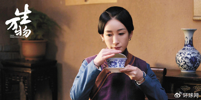 费左氏（秦海璐饰）