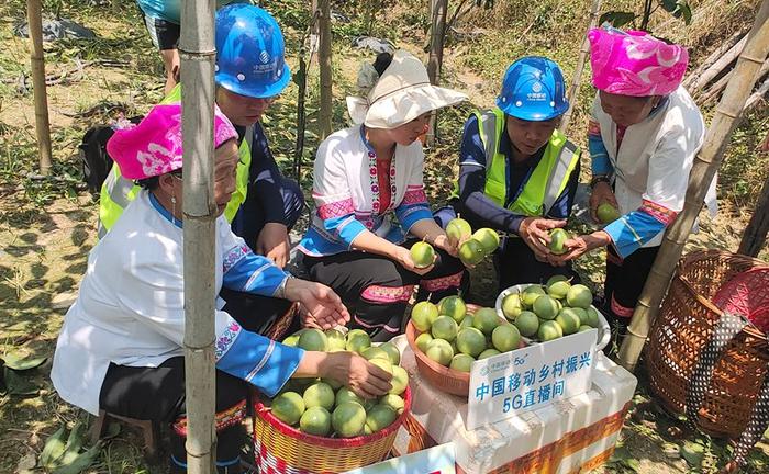8月13日,桂林市龙胜各族自治县龙脊镇村民在技术人员指导下在田间直播带货。