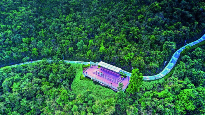 （罗湖淘金山绿道；图/罗湖发布）