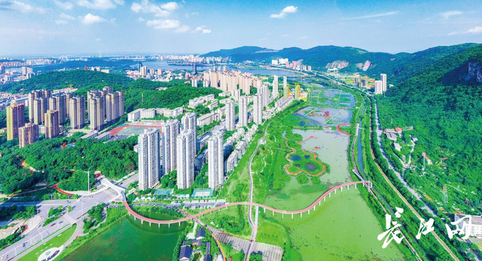 黄石磁湖湿地公园。通讯员石勇 摄