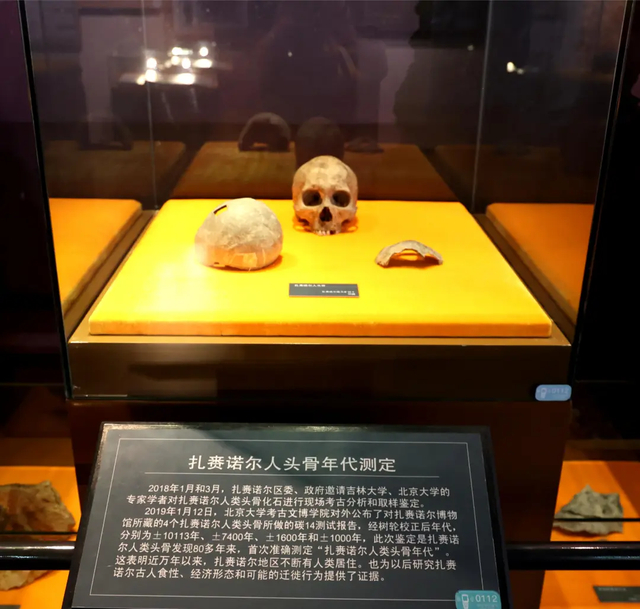 　扎赉诺尔人头骨。