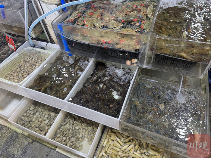 成都青石桥水产批发市场。 李菲菲摄