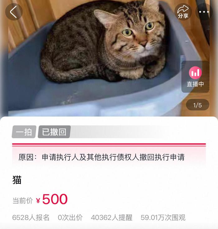 ▲拍卖被撤回 截图自拍卖平台