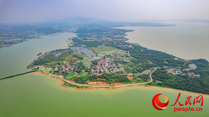 梁子湖航拍。人民網(wǎng)記者 周倩文攝