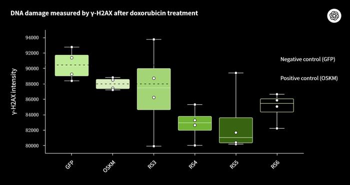 工程化变体展现出了更强的 DNA 损伤修复能力,为提升细胞年轻化技术和开发未来疗法开辟了一条充满希望的道路