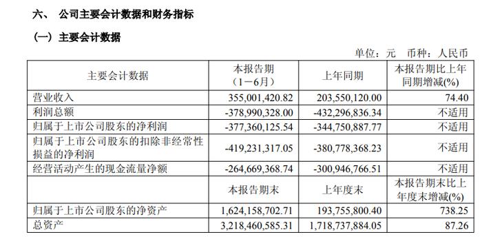 图片来源:半年报截图