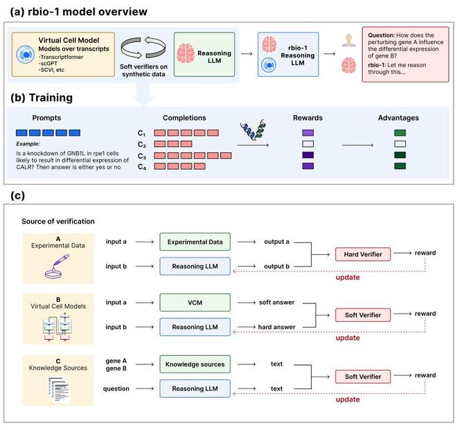 （来源：https://www.biorxiv.org/content/10.1101/2025.08.18.）