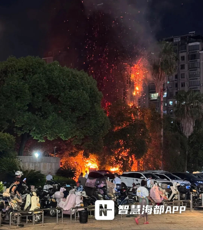 福建福州一小區突發(fā)大火，火光沖天，黑煙直沖高樓，小區一大樹(shù)頂部也留下明顯燒焦痕跡，起火地點(diǎn)源自小區內垃圾屋