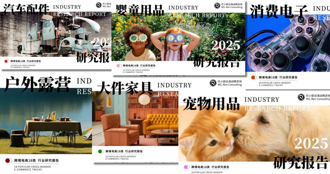 图｜部分报告页面展示