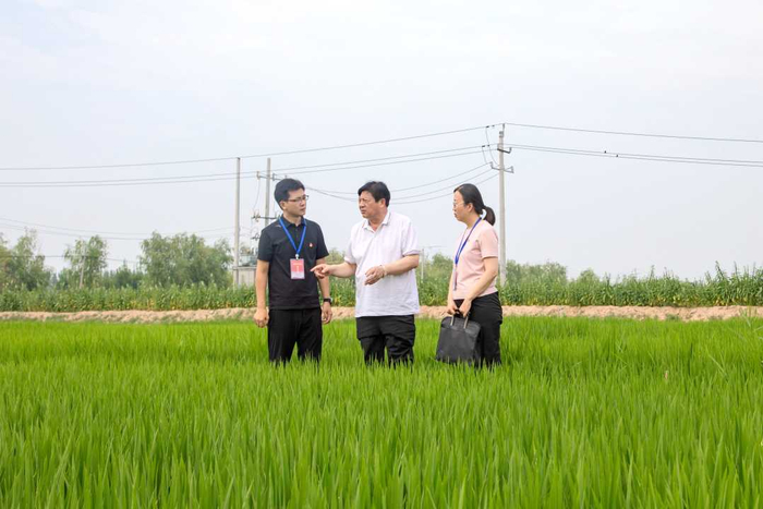 河南省焦作市武陟县纪检监察干部到乔庙镇马宣寨村了解“三资”管理有关情况。陈啸虎摄