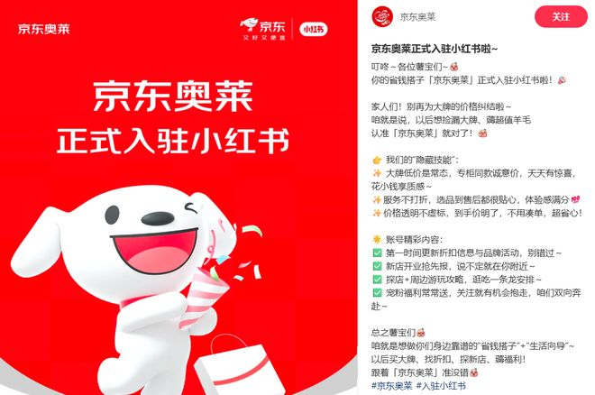 截图来源于小红书