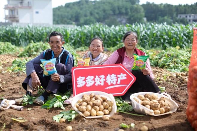 ▲在云南昭通，当地土豆加工的网红薯片让农户丰产增收。（闵杉 摄）