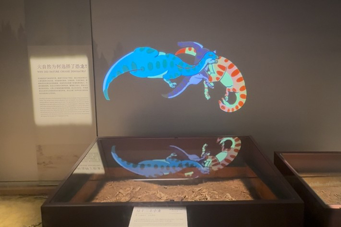“禄丰三条小龙”化石与复原动画（刘琦/摄）