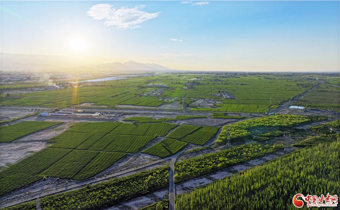 e法耀隴原丨法槌與青草同頻 祁連山腳下的法治與綠色交響共進(jìn)
