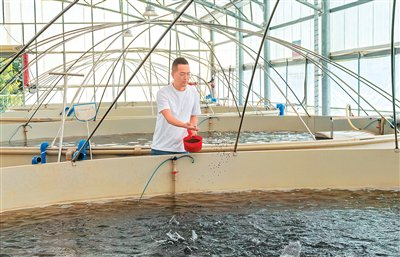 朱世龍?jiān)陴B(yǎng)殖池前撒魚餌。本報(bào)記者 王永戰(zhàn)攝