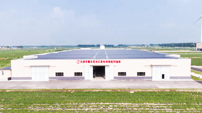 岳龍鎮內的紅瑤甘薯存儲庫（央廣網(wǎng)發(fā) 寧河區岳龍鎮供圖）