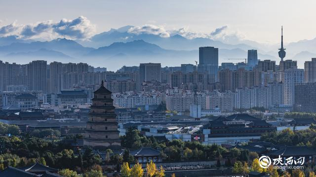 陕西网记者 王城城 摄
