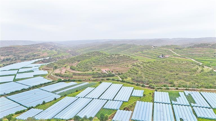 彭阳县阳洼流域。