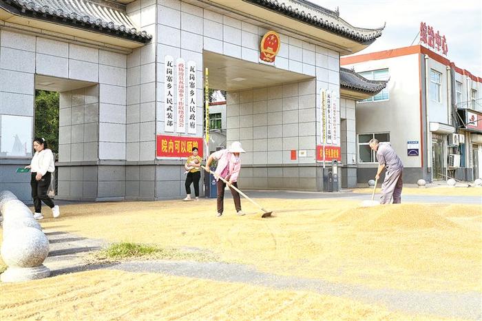 近日,河南省滑县瓦岗寨乡政府大门口,一对夫妇正在卸车上的小麦。 图片来源:视觉中国
