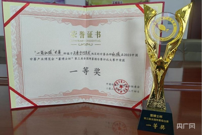 岳龍紅瑤甘薯榮獲2023年中國甘薯產(chǎn)業(yè)博覽會(huì )“薯博士杯”第三屆全國烤薯擂臺賽一等獎（央廣網(wǎng)發(fā) 寧河區岳龍鎮供圖）