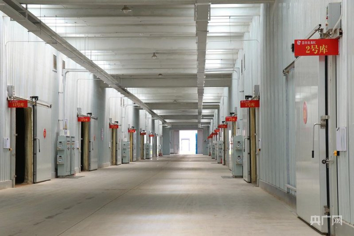 岳龍鎮內的紅瑤甘薯存儲庫內景（央廣網(wǎng)發(fā) 王婧瑜 攝）