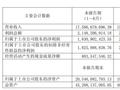 赛轮轮胎上半年净利降近15%仍发“大红包” 还要投17亿元扩建亏损工厂