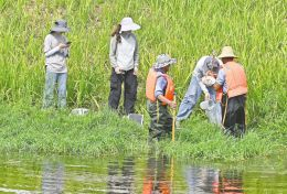 生态环境部：协调中央财政安排超过31亿元 支持8000余个入河排污口规范化建设