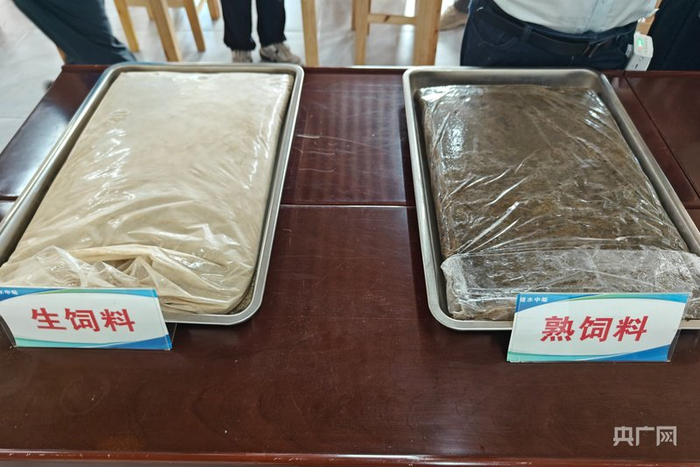 生饲料需要经过蒸煮后才能投喂桑蚕（央广网记者  赵家慧摄）