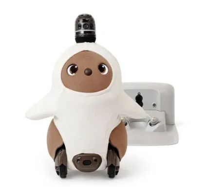 （LOVOT  图源：LOVOT官网）