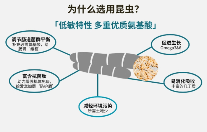 商家罗列“昆虫猫粮”的各种优点 | 电商平台截图