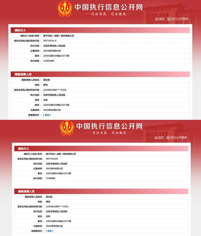 图自中国执行信息公开网