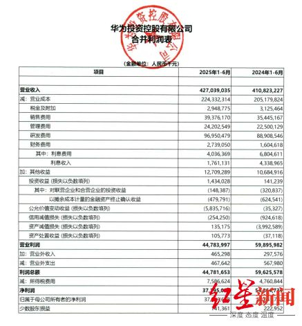 截图自华为2025年半年度报告