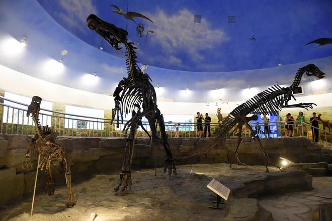 　　游客在嘉荫恐龙国家地质公园内的神州恐龙博物馆参观。新华社记者 王建威 摄