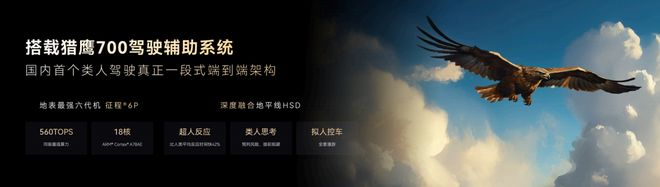 ▲猎鹰700采用地平线方案