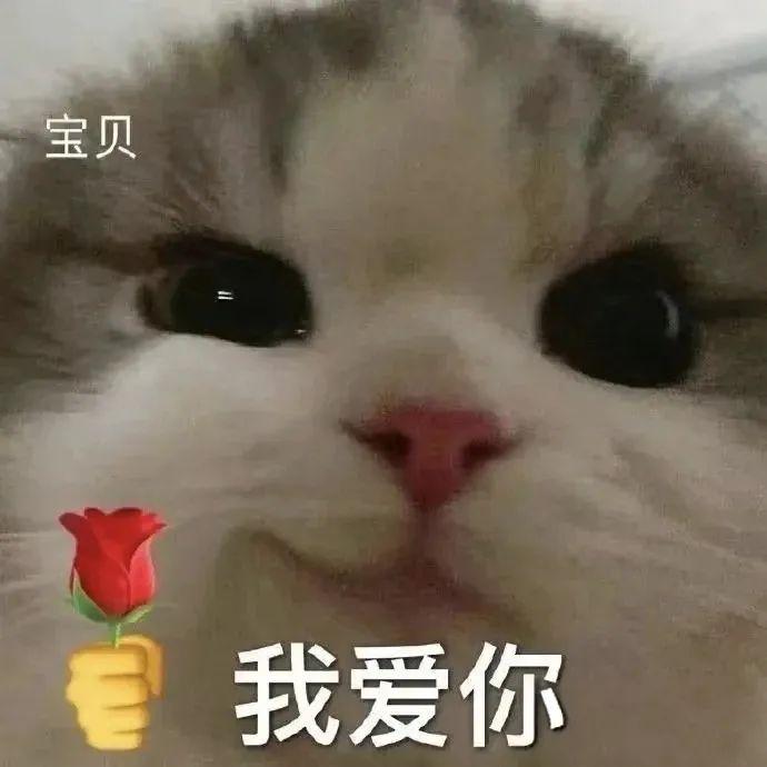 (不建议逢人就说,容易挨打,因为没这么可爱)