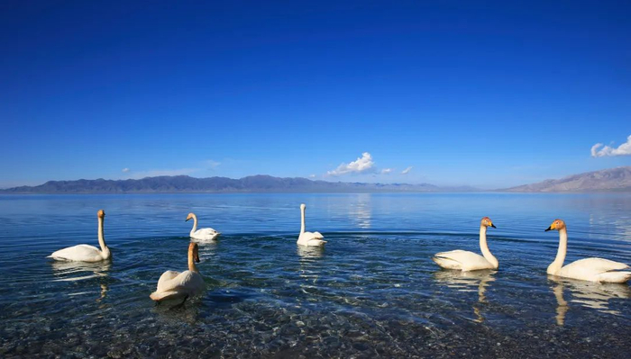 图据赛里木湖景区