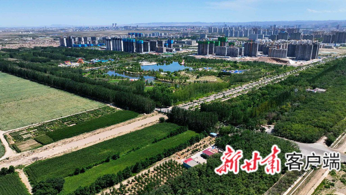 戈壁繪新景 綠意潤鎳都——金昌市金川區走出綠色發(fā)展新路