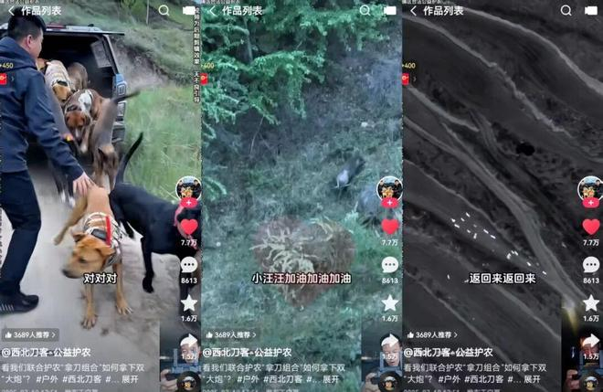 “西北刀客—公益护农”短视频截图