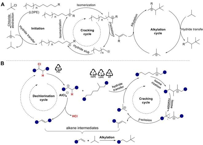 （来源：https://www.science.org/doi/10.1126/science.adx5285）