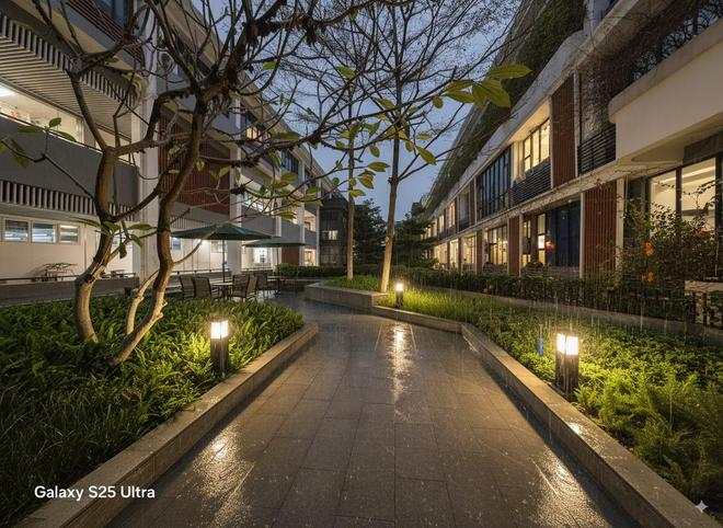 （图源：Gemini）