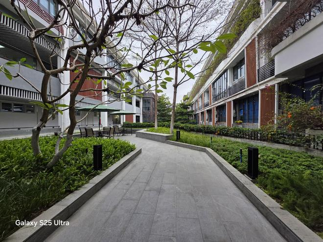 （图源：雷科技）