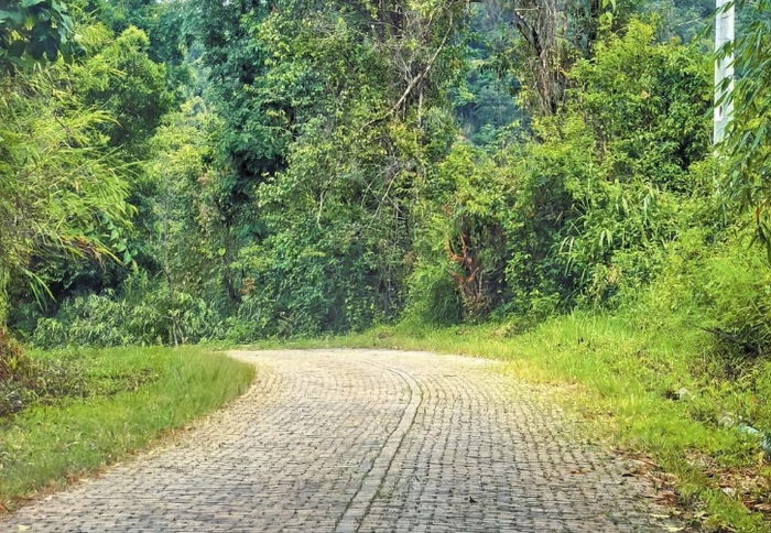 滇緬公路遺址 （攝影：管毓樹(shù)）